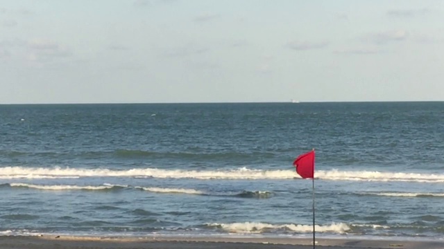 海滩上悬挂红色警告旗视频素材