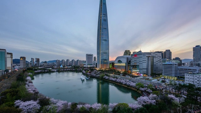 韩国首尔的石川湖，樱花盛开，乐天世界大厦(韩国最高的建筑)，白天和晚上视频素材