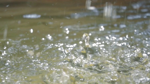 水滴落在水面上的SLO模视频素材