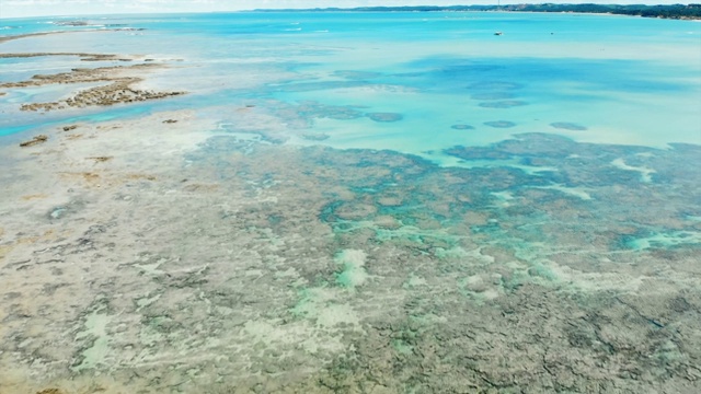 空中向前:美丽的热带景观和惊人的珊瑚礁在波尔图德加林哈斯，巴西视频素材