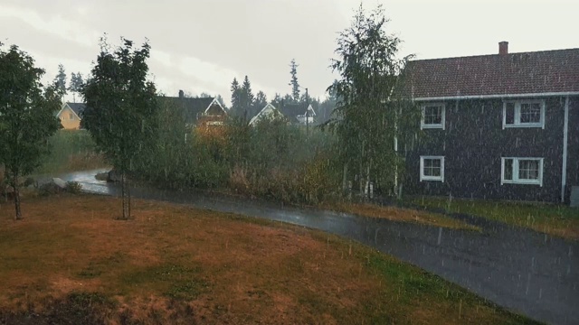 雨天视频下载