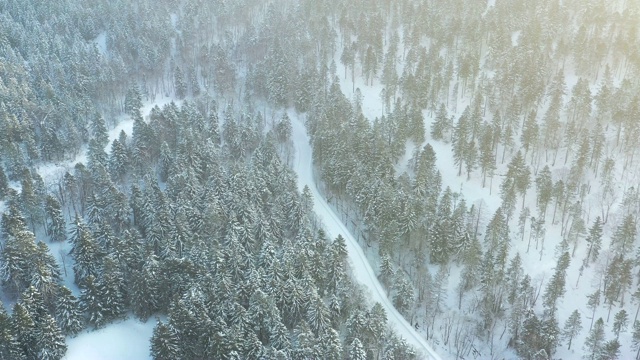 日本北海道Tomamu的滑雪道视频素材