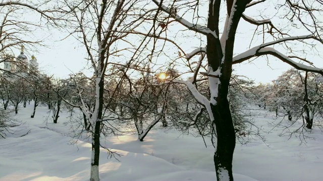 冬季森林的空中飞行。飞过白雪皑皑的森林，夕阳在白色的树木上落下橙色的余晖视频素材