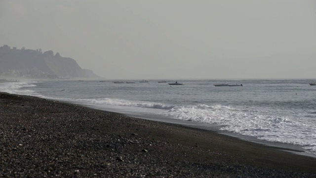 地中海海滩上飞翔的海鸥视频素材