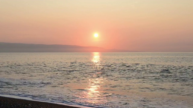 地中海海滩上飞翔的海鸥视频素材