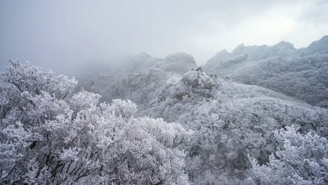 韩国松尼山国家公园的冬季景色和雾视频素材