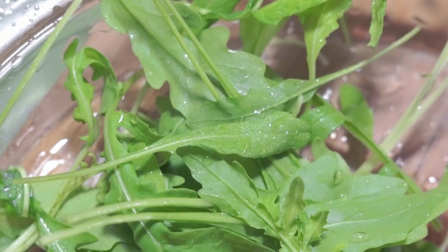 沙拉芝麻菜视频素材