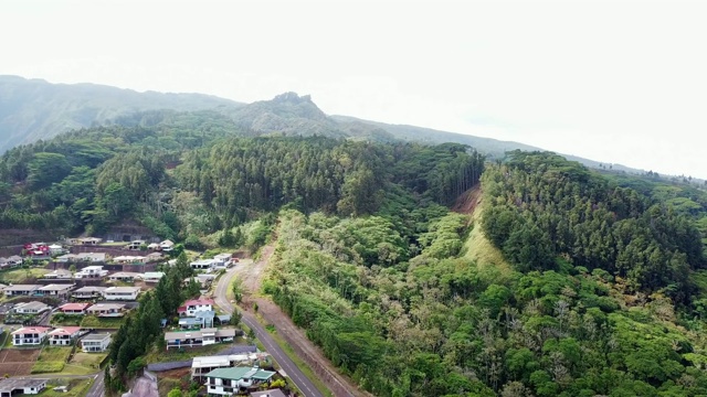 空中Pan从左到右:在大溪地，法属波利尼西亚家中独特的树木形成视频素材