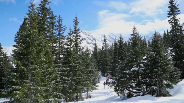 在波兰Zakopane的一次徒步旅行中，滑雪者沿着一条山路走到一个被积雪覆盖的山峰视频素材