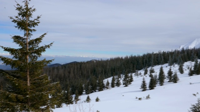 在波兰的Zakopane徒步旅行期间，山峰完全被新雪覆盖视频素材