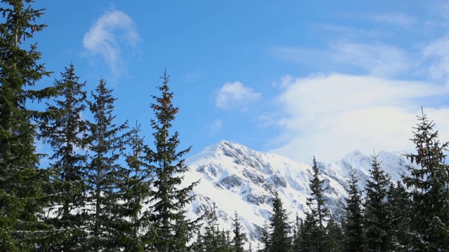 在波兰的Zakopane徒步旅行期间，山峰完全被新雪覆盖视频素材