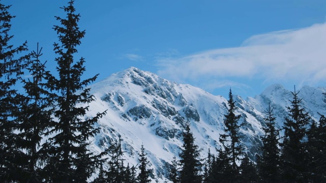 在波兰的Zakopane徒步旅行期间，山峰完全被新雪覆盖视频素材