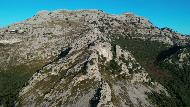 霍尔姆橡树，圣橡树，利多，利多谷，东海岸山区，坎塔布里亚，坎塔布里亚海，欧洲视频素材