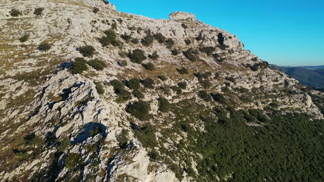 霍尔姆橡树，圣橡树，利多，利多谷，东海岸山区，坎塔布里亚，坎塔布里亚海，欧洲视频素材