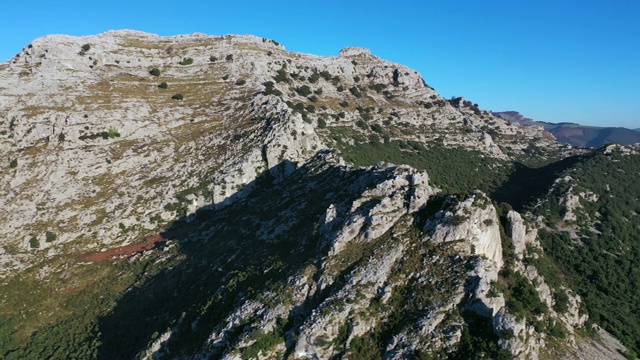 霍尔姆橡树，圣橡树，利多，利多谷，东海岸山区，坎塔布里亚，坎塔布里亚海，欧洲视频素材