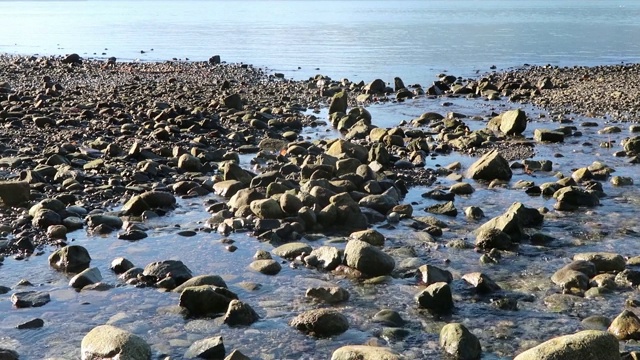 壮观的水和岩石海岸线沿西海岸靠近温哥华视频素材