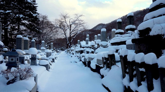 在冬天穿过白雪覆盖的古老墓地视频素材