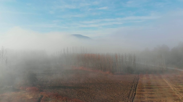 雾蒙蒙的农村场景视频素材