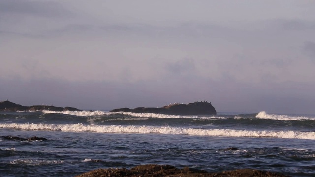 华盛顿州奥林匹克国家公园鲁比海滩狂野西海岸咆哮的海浪视频素材