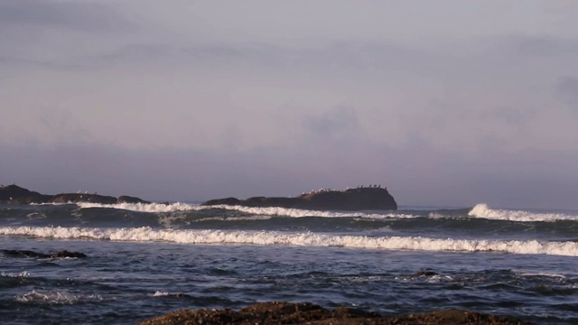 华盛顿州奥林匹克国家公园鲁比海滩狂野西海岸咆哮的海浪视频下载