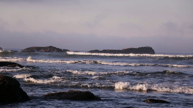 华盛顿州奥林匹克国家公园鲁比海滩狂野西海岸咆哮的海浪视频下载