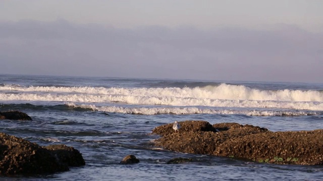 华盛顿州奥林匹克国家公园鲁比海滩狂野西海岸咆哮的海浪视频素材