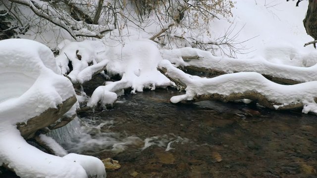 深雪覆盖的原木躺在河流峡谷视频素材