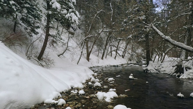 在冬天飞过被厚厚的积雪包围的河流视频素材