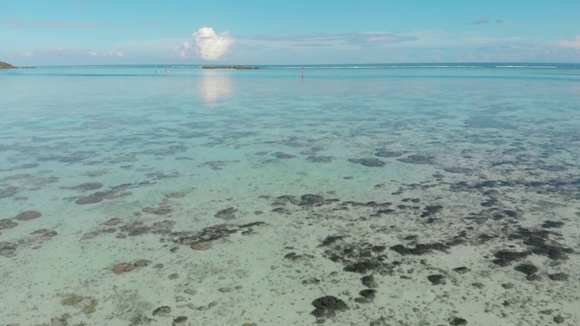 空中向前:位于法属波利尼西亚摩尔里亚的大理石棕褐色和绿色海洋视频素材