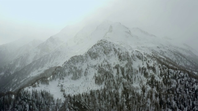 航拍:意大利南蒂罗尔，美丽的雪山和松树林视频素材