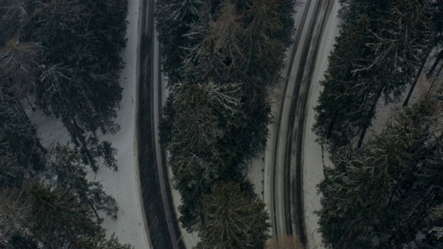 航拍:意大利南蒂罗尔雪灾中的松树林中小路视频素材