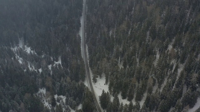 空中倾斜:在意大利南蒂罗尔的暴风雪松林之间的道路视频素材