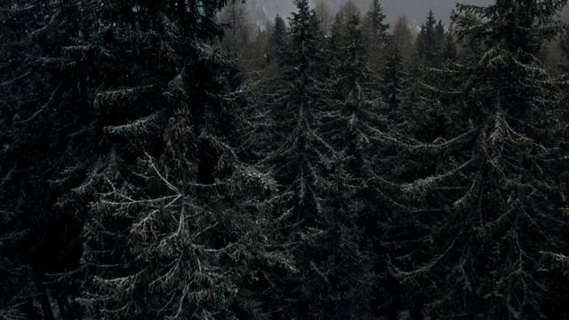 航拍:在意大利南蒂罗尔的严重暴风雪中翻越山脉和森林视频素材