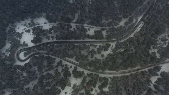 空中盘旋:意大利南蒂罗尔雪灾中的松树林中道路视频素材