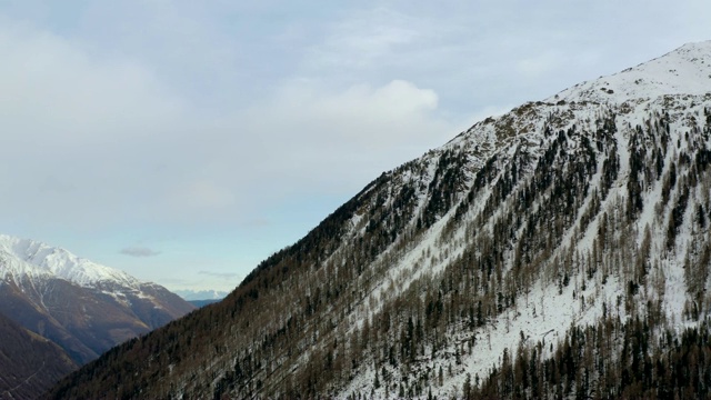 空中向后:美丽的山谷雪山与松树林在南蒂罗尔，意大利视频素材