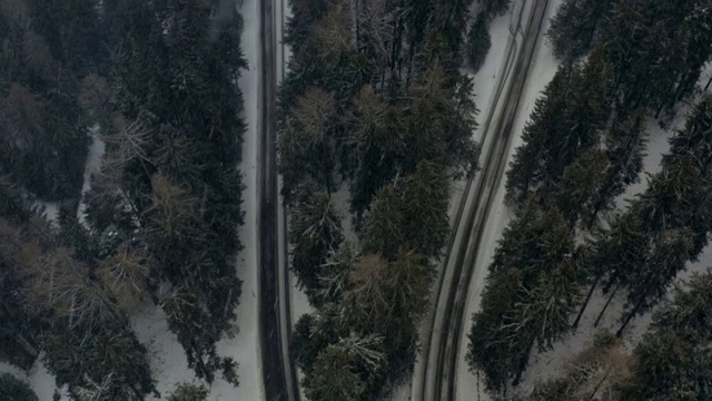 空中前进:在意大利南蒂罗尔的暴风雪松林之间的道路视频素材