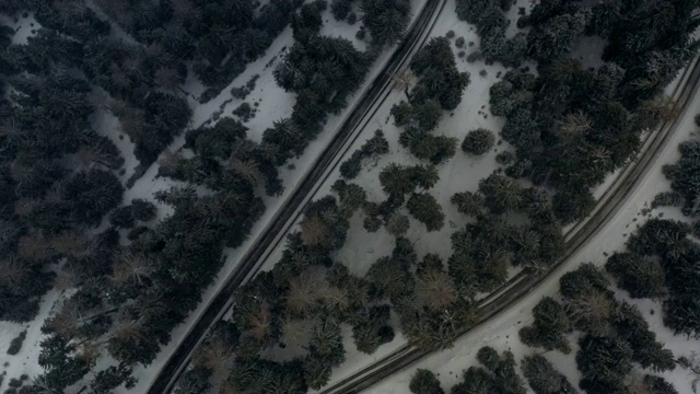 空中攀登:意大利南蒂罗尔雪灾中的松树林中道路视频素材