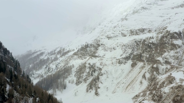 空中飞盘:意大利南蒂罗尔美丽的雪山和松树林视频素材