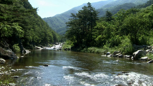 江原道正城郡的四季流水景观视频素材