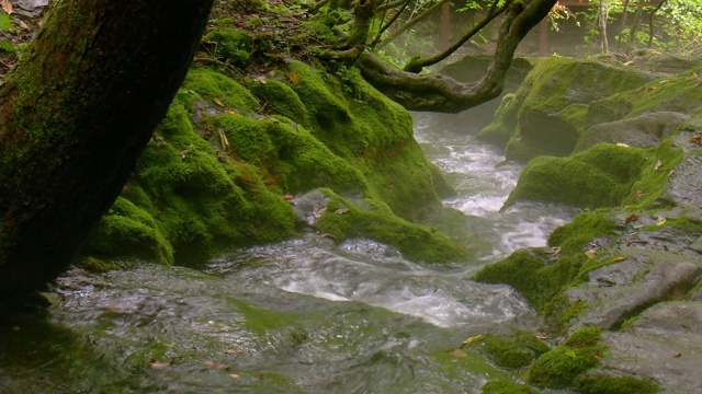 江原道大白溪清水湖(旅游景点)的瀑布视频素材