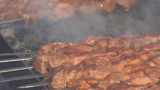 烤开胃猪肉烧烤烹饪木炭烤架与烟视频素材