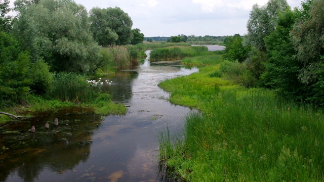 乌克兰中部波尔塔维斯克州克洛马克河宁静的夏日风光视频素材