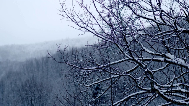 冬季仙境。的雪山风景视频素材