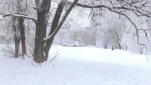 被白雪覆盖的城市公园视频素材