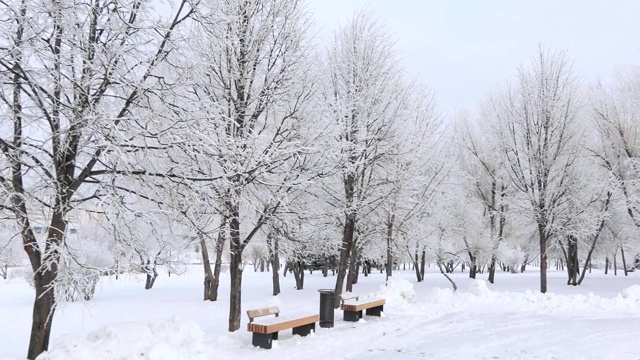 雪地里的木凳视频素材