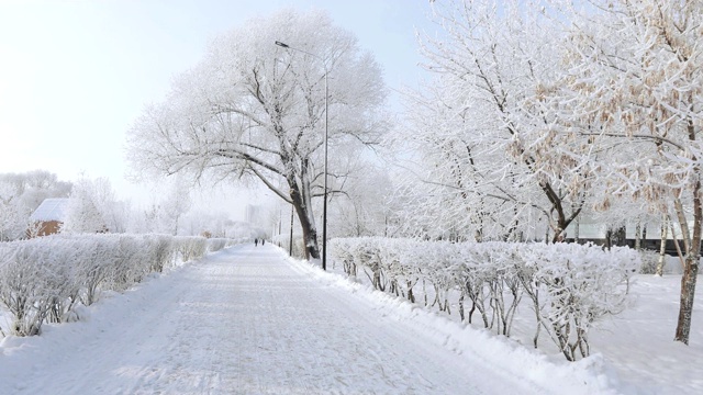 被白雪覆盖的城市公园视频素材