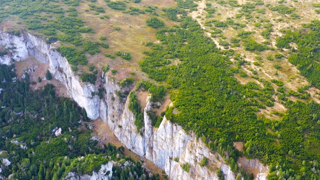 高山森林和高山草甸鸟瞰图视频素材