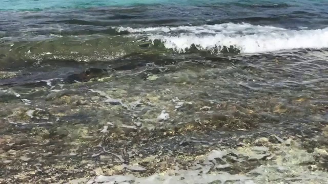 波内尔的海岸线上海浪撞击着岩石视频素材