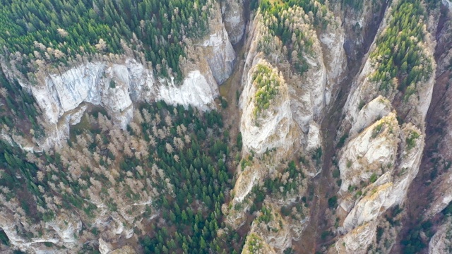 山峡谷中的夏季森林，巨大的岩石从上面视频素材