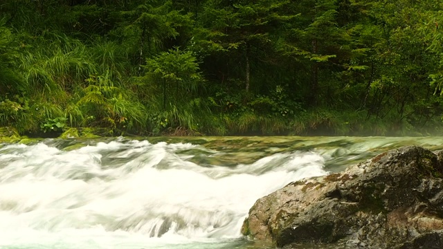 一条清澈寒冷的河流流淌在奥地利视频素材